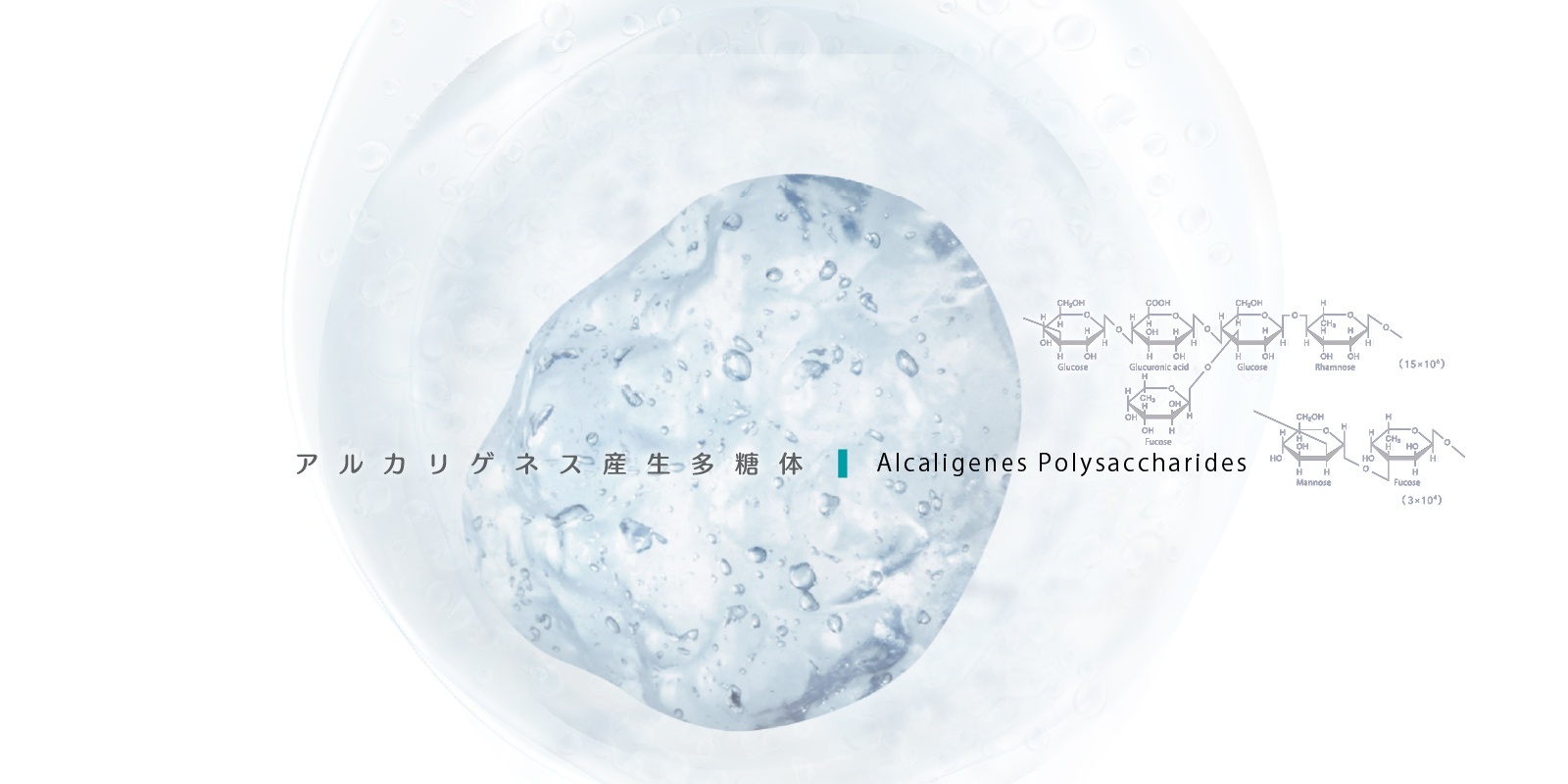環境負荷を生み出さない高保湿成分アルカリゲネス産生多糖体